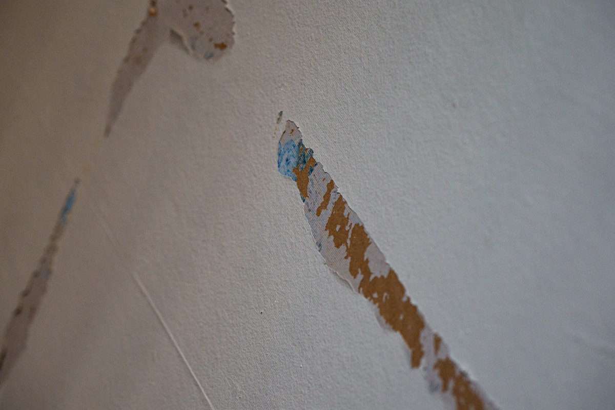Water Extraction service in Lansing, MI